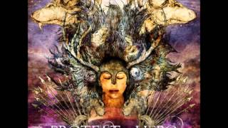 Protest The Hero  Fortress Full Album [upl. by Hajan982]