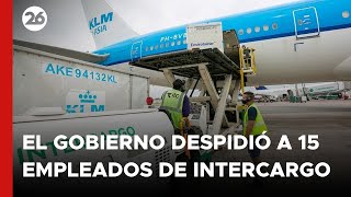 El Gobierno despidió a 15 empleados de Intercargo por la medida de fuerza en Aeroparque [upl. by Toffic]