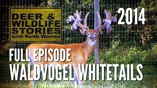 Waldvogel Whitetails  The Max Factor  Deer Farming [upl. by Aila]