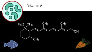 Vitamin A  What does it do Where does it come from [upl. by Oeflein]