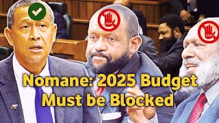 Nomane on 2025 Budget [upl. by Akenn]