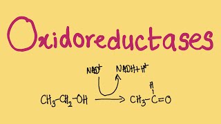 What is an Oxidoreductase  MCAT Biochemistry [upl. by Otrebron]