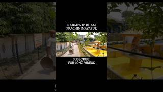 PRACHIN MAYAPUR Gaudiya math NABADWIP DHAM nabadwip train travel [upl. by Novyar]