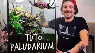 TUTO PALUDARIUM  UN PARADIS POUR MES CRABES VAMPIRES  TOOPET [upl. by Dickson764]