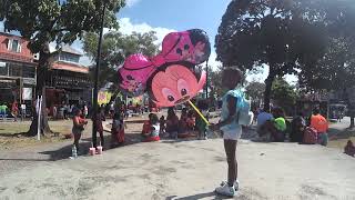 Highlights from the 2024 Trinidad and Tobago Carnival Senior Kings and Queens Preliminaries [upl. by Aimek]