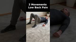 Fix Low Back Pain in 60 Seconds  1 Minute Feldenkrais feldenkrais backpainexercise [upl. by Uase]