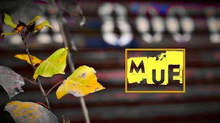 Mue [upl. by Atoel]