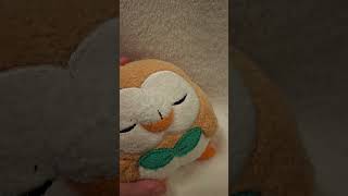 Rowlet Begs For Forgiveness sad loveacting depressed [upl. by Geneva]