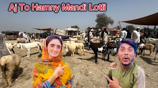 Aj Maine Mandi Lotli Alia Vlogs [upl. by Boor873]