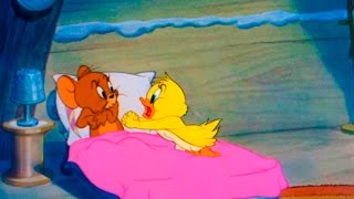 Tom and Jerry  Episode 47  Little Quacker 1950 [upl. by Joice]