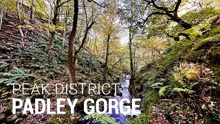 Solo walk in the peaks Padley gorge and owler tor [upl. by Lebatsirc16]