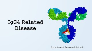 IgG4 Related Disease [upl. by Ynehteb128]