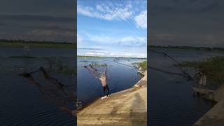 Amazing video fishing lake fishing traditional techniquenature thrownetfishing [upl. by Wainwright]