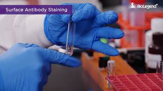 Surface and Intracellular Cytokine Staining for Flow Cytometry [upl. by Clorinda]