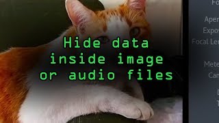 Conceal Secret Messages or Data Through Steganography with Steghide Tutorial [upl. by Celeste856]