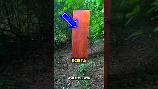 SE VEDI UNA PORTA NELLA FORESTA SCAPPA 😱 [upl. by Okikuy904]