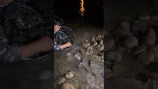 Dumagsa nanaman mga isda sa ilog na to makakamangha talaga fishing [upl. by Dnamra]