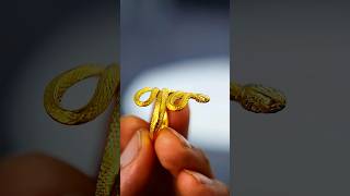 gold snake ring handmadejewelry jewelry fashion ring [upl. by Yennaiv569]