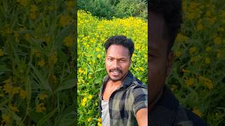 Beuty of village araku location shortvideo sunnypangi [upl. by Amirak]