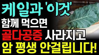 골다공증 온갖 염증 다 잡는 케일 한달만 이렇게 드세요 당뇨병과 골다공증에 좋은 특급 레시피 골밀도 높이는 요리법과 함께 먹으면 보약되는 음식 3가지 항암 음식 [upl. by Ahel920]