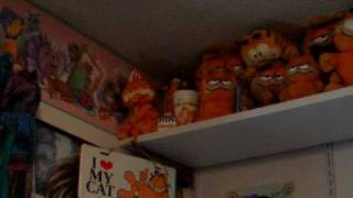 My Garfield Collection [upl. by Abehshtab703]