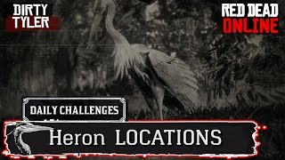 Heron RDR2 Locations Red Dead Online Daily Challenges [upl. by Kcirdorb]