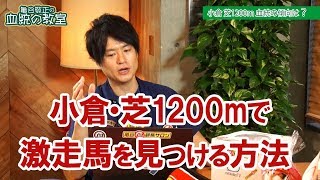 60万馬券も夢じゃない 小倉芝1200mで使える血統法則亀谷敬正 [upl. by Alletniuq999]