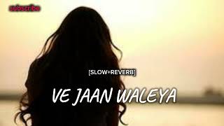 VE JAAN WALEYA SLOWREVERD song and enjoy❤️subscribe my youtube channel bilaofficialsong [upl. by Fabe]