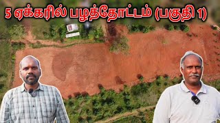 5 ஏக்கரில் பழத்தோட்டம்  உணவு காடு  Nannilam Eco Village  Food Forest  Permaculture [upl. by Ferree]