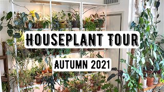 Houseplant Tour 300 Plants  Autumn 2021 [upl. by Aniratac]