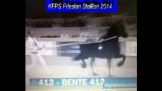 KFPS Friesian Stallion BENTE 412 Hengstenkeuring 2014 [upl. by Richella289]