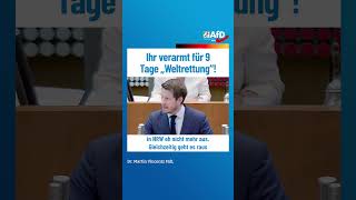 Ihr verarmt für 9 Tage „Weltrettung“ afd ltnrw [upl. by Ahtiekahs]