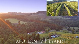 Apolloni Vineyards [upl. by Arremat205]