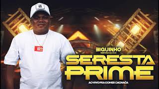 BIGUINHO SENSAÇÃO AO VIVO EM SANTARÉM PA 2024 PARTE 01  SERESTA PRIME [upl. by Sugihara]