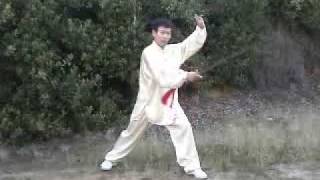 Taiji Traditional Yang Tai Chi Sword [upl. by Setarcos]