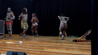 Maureen Mulheron  Australian Aboriginal  Willie Wagtail Dance [upl. by Martelle]