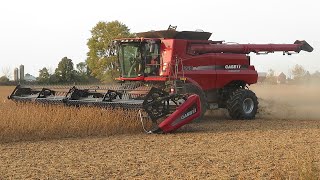 Soybean Harvest 2020  Case IH 7230 Harvesting Soybeans  Ontario Canada [upl. by Aryahay]