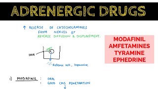 Autonomic Pharmacology  17  Indirectly amp Mixed Acting Adrenergic Drugs  EOMS [upl. by Atneciv]