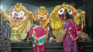 Shri Jagannath Sandhya Arati Darshan 🙏  06Dec2024 [upl. by Brook]