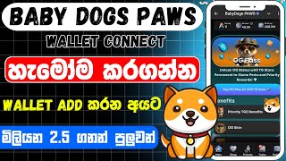 Baby doge aidrop sinhala  Baby doge paws wallet connect Baby doge paws [upl. by Radburn767]