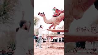 dance folks song newfolksongs2023telugudj newmusicrelease nonstopdjremixsong rajasthani [upl. by Secrest321]