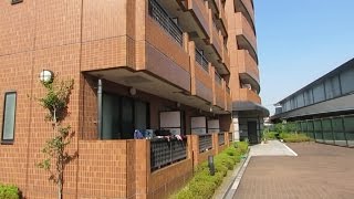 Kansai Gaidai Dorm Tour Seminar House 3 [upl. by Samaria135]