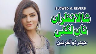 Shala Nazran Na Lagni Slowed amp Reverb  Haider Zulqarnain  TikTok Trending  Jiven Shala Mahi [upl. by Toblat]