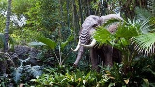 JUNGLE CRUISE at Disneyland FULL RIDE POV  GREAT QUALITY 1080p HD [upl. by Adlei320]