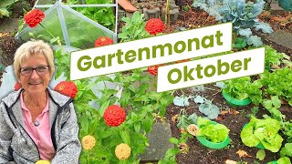 Deine Aufgabenliste für den Gartenmonat Oktober [upl. by Nivan]