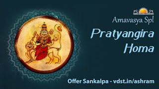 Amavasya Spl Pratyangira Homa  01 Nov 2024  Live From VDS Bangalore Ashram [upl. by Ahseuqal]