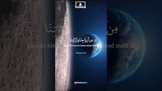 Quran recitation shorts youtubeshorts shortvideo quranrecitation [upl. by Goddart274]