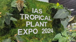 2024 International Aroid Society Tropical Plant Expo No Commentary [upl. by Einallem]