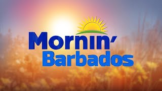 Mornin Barbados  November 15 2024 [upl. by Mamoun]