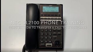 Video 5  How to Transfer a Call to a Coworker [upl. by Annuaerb]